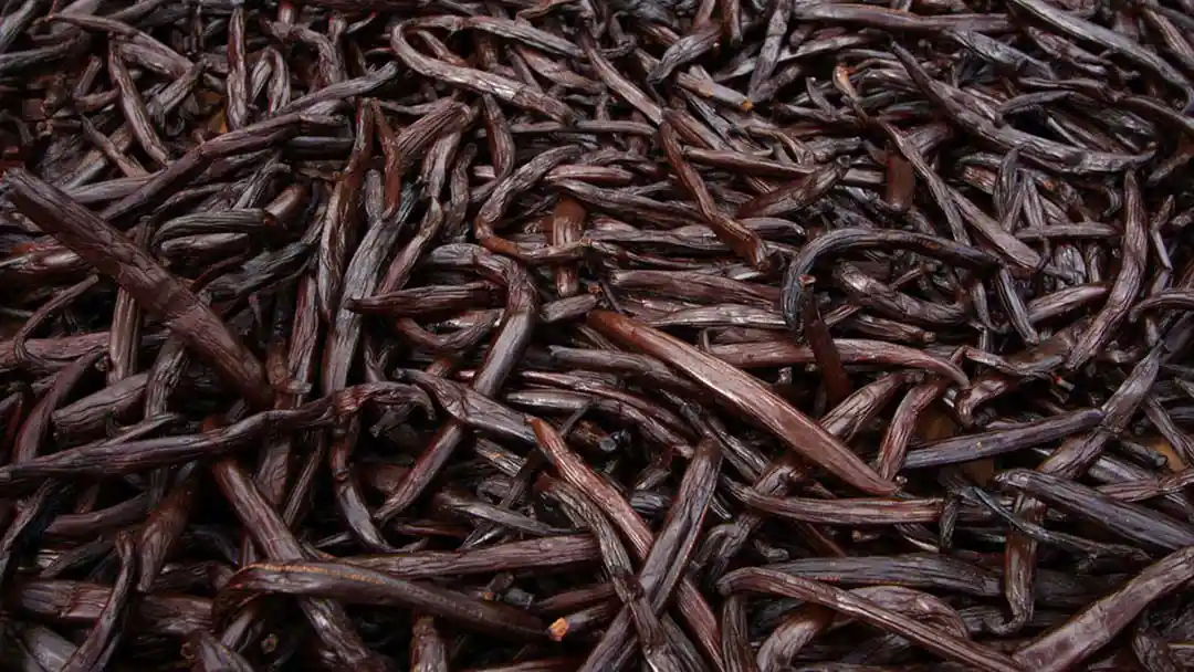 Vanilla pods